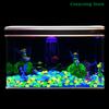 100Pcs/Bag Outdoor Luminous Stones Garden Pebbles Fish Tank Decoration Glow In Dark Mixed Color Pebble Rocks Aquarium Decor