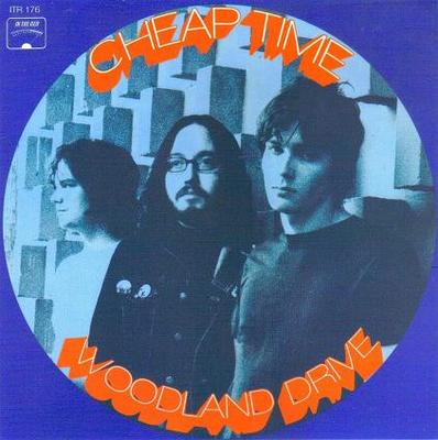 7-Zoll Schallplatte BILLIGE ZEIT - Woodland Drive ITR176 In The Red Reco 2009 US Rock Gebraucht