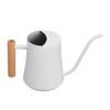 Stainless Steel Watering Can Pot Retro Small Plant Watering Can with Wooden Handle for Indoor Outdoor 1000ML