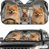 Funny Pomeranian and Yorkie Sun Visor Car Windshield Sunshade UV Protection Reflective Foldable Heat Insulation Cover
