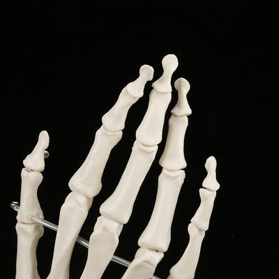Actie figuren – Actie figuren