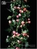 Artificial Rose Vine Wall Decor for Air Conditioner Pipes