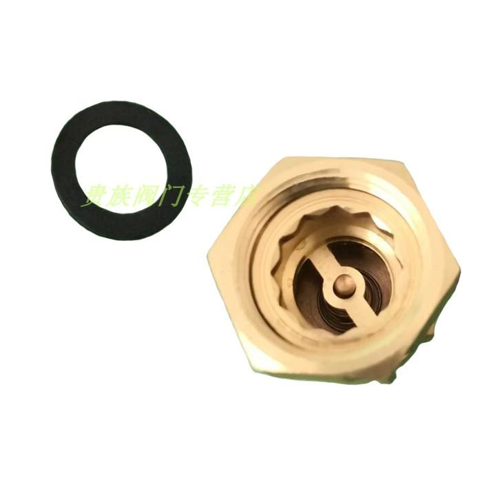 DN15 DN20 DN25 1/2" 3/4" 1" BSP Femmina Maschio Ottone Valvola di Ritegno Unidirezionale Non Ritorno Per Installazione Prima O Dopo il Contatore dell'Acqua