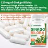 Kapsle Ginkgo Biloba 120 mg - Podpora paměti, koncentrace, zdravého mozku