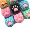 Mini Schlüsselanhänger Tastatur Katzenpfote Fidget Spielzeug 9-in-1 LED Leuchtend Dekompression Finger