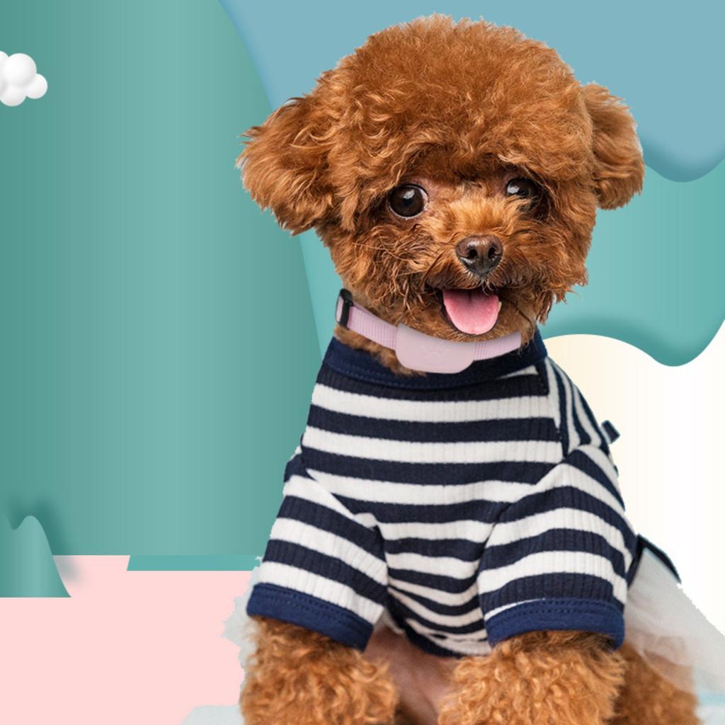 Ersatz für Hundehalsbänder, -verlorenes Halsband Silikonhülle