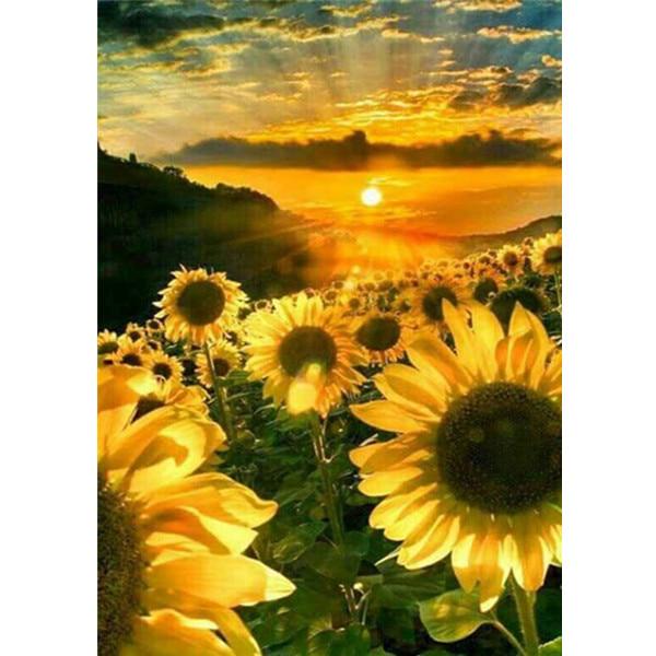 

5D DIY алмазний живопис зоряне небо пейзаж повний круглий горний кришталь алмазна вишивка пейзаж 20X30CM чорний