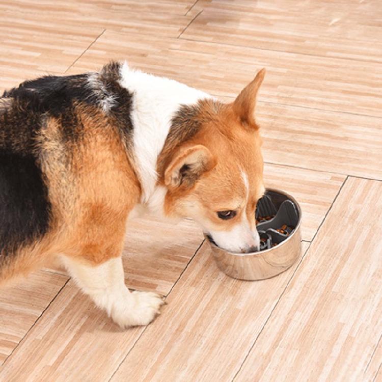 Slow Feeder Bowl Insert  Slow Eating Puzzle for Cat Dog Food Water Bowl Insert