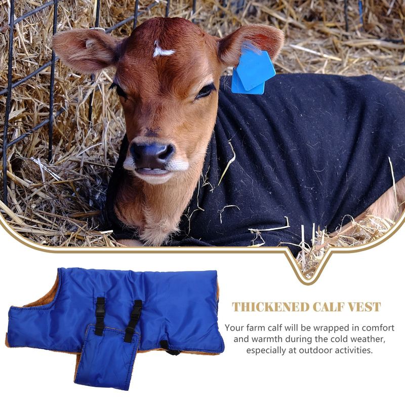 Cow Calf Vest Calf Cold Calf Warm Clothing Farm Calf Vest Warm Clothing Winter Coat Warm Apparel Pasture Supplies