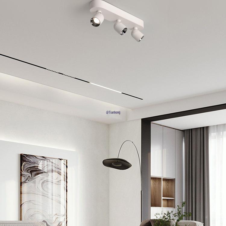 Adjustable Anti-Glare Folding Ceiling Spotlight with High Color Rendering for Household or Picture Lighting