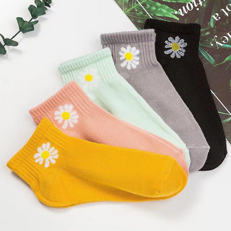 

5PCS Японский Jk Сладкие Дамы Короткие Носки Милый Хлопок Четыре Сезона Носки