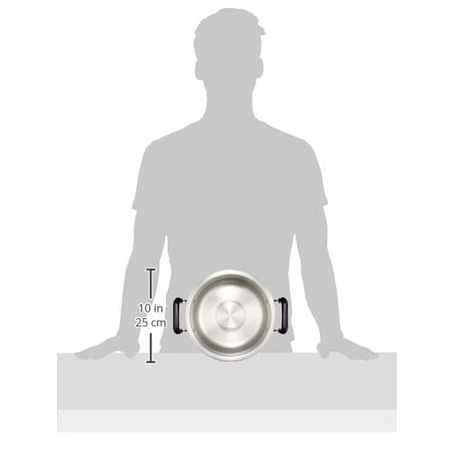 EBM Molybdenum Practical Pot (Two-Handled) 22cm