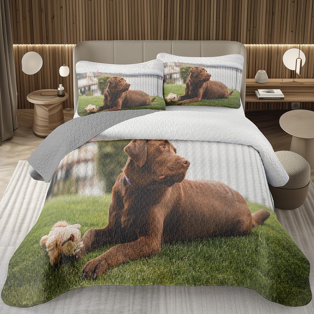 Copriletto Divertente per Cani Singolo Matrimoniale Kawaii Coperta Animale Cartone Animato Cani da Compagnia Set Biancheria da Letto Per Bambini e Bambine Copriletti Trapuntati Reversibili