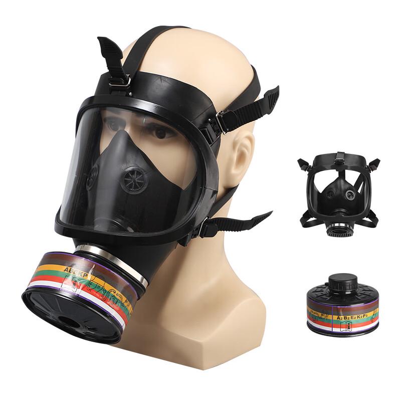 DAXTE Gas Mask with Composite Filter