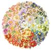 50-Piece Set: Elegant Hot-Stamped Floral PET Stickers for Phone Cases