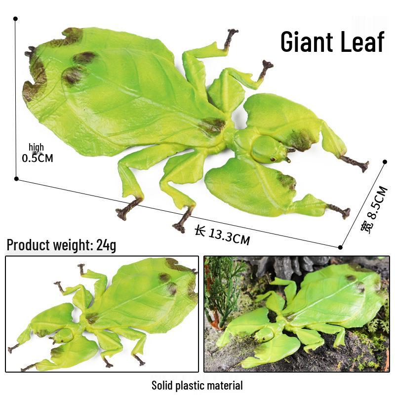 Wild Animal Model Tree Frog Toy - Large Webbed Children s Cognitive Learning Tool