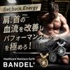 BANDEL Carbon Edition Healthcare Magnetic Medical Improves Blood Muscle Sports Stiff Shoulders Healthcare Necklace Earth CARBON Edition Necklace,