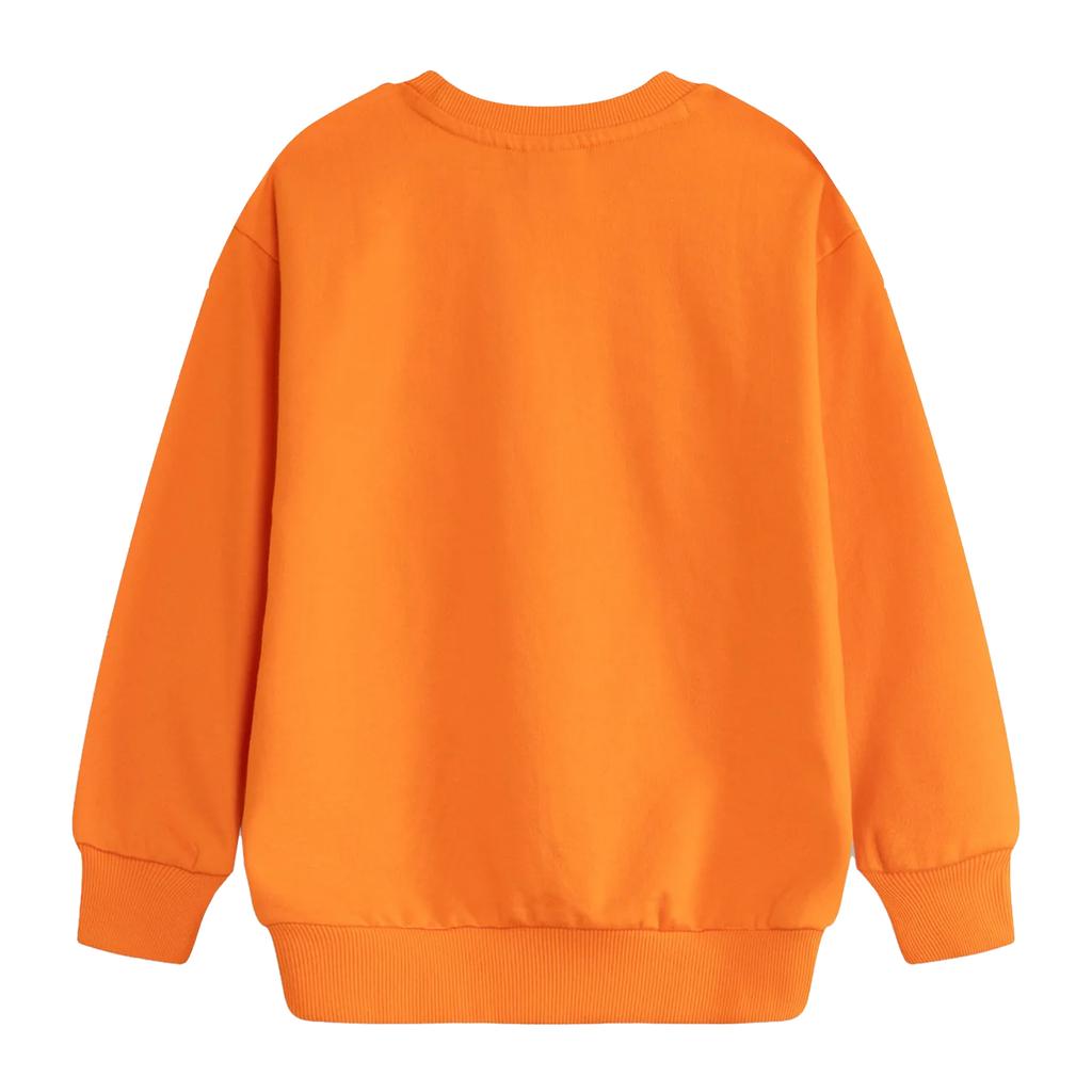 Zog Childrens/Kids Character Cotton Sweatshirt