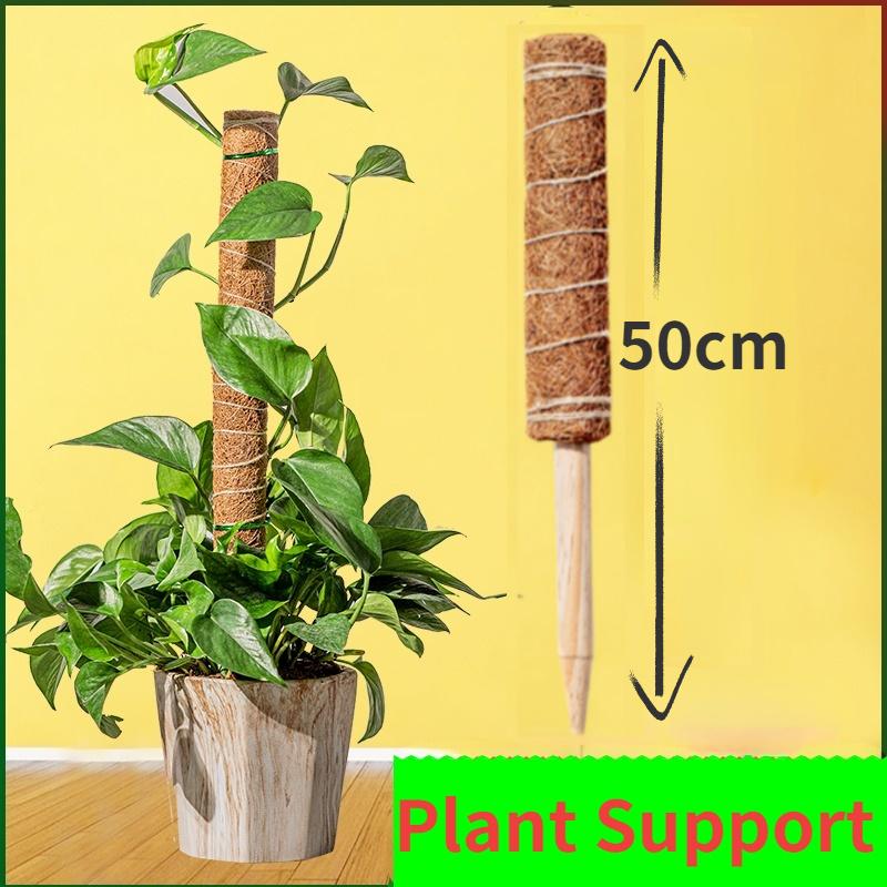 Plant Climbing Coir Totem Pole Safe Gardening Coconut  Stick For Climbing Plants Vines And Creepers Plant Support