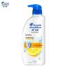 Head & Shoulders Anti-Dandruff Refreshing Oil Control Shampoo