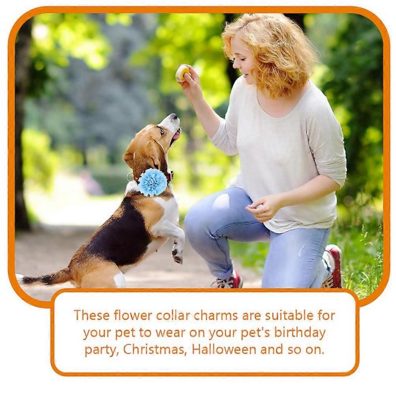 Cute Flower Collar Decoration For Small Pets Suitable For Halloween With Assorted Color 100Pcs