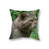 Cute Kitten Throw Pillowcase Sofa Party Decoration Office Game Chair Cushion Cover Room Bedside Home Decor Pillowcase 45x45cm