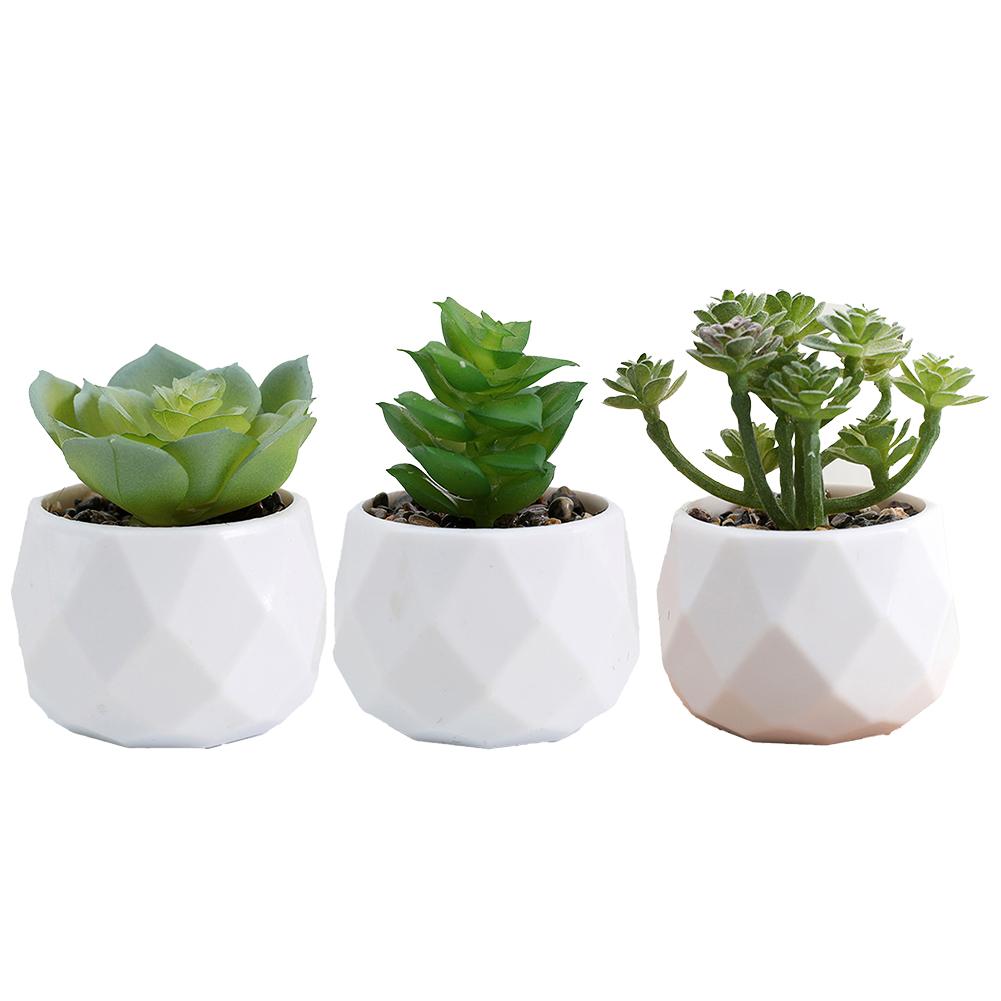 Artificial Succulents Decorative Flower Pot Elegant Design