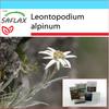 Gift Set - Edelweiss - 500 Seeds - With Gift Box, Card, Label and Potting Substrate - Leontopodium Alpinum
