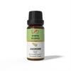 Ananta Jasmine Essential Oil 10 Ml – Natural Floral Aroma Oil for Diffuser & Home Fragrance