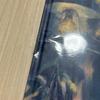 [USED] Yorushika "Magic Lantern" Art Album with Obi
