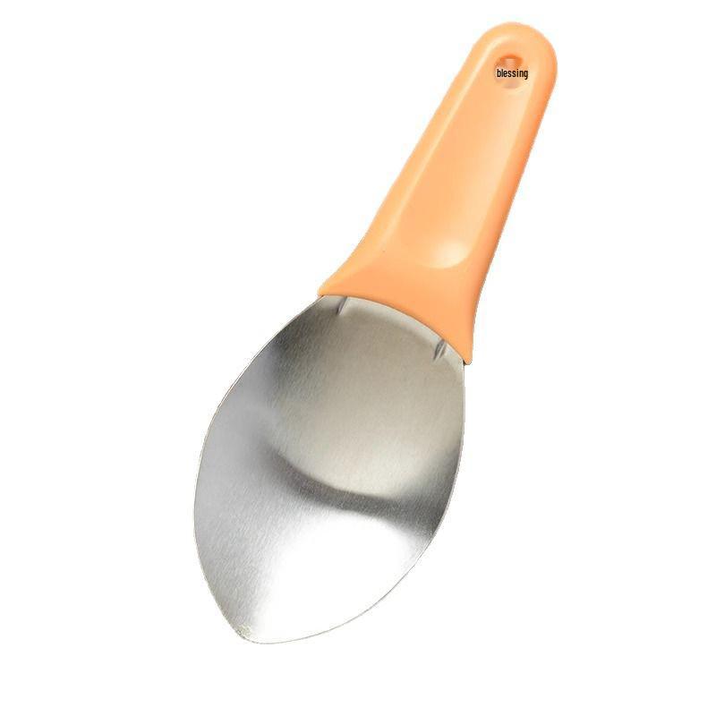 Stainless Steel Mango Cutter & Peeler, Fruit Divider, and Watermelon Slicer