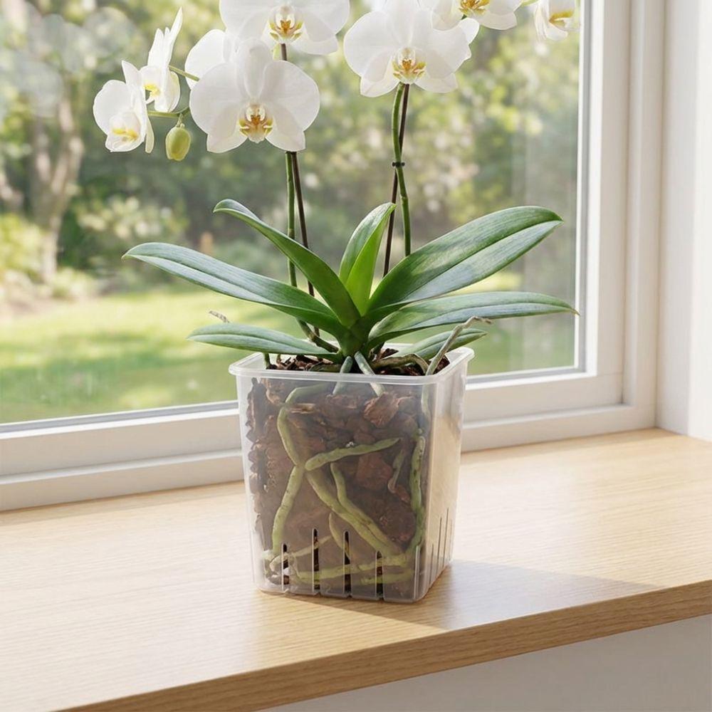 Ventilated Drainage Holes Clear Flower Pots Square Breathable Seedling Cups Indoor Orchid Growing