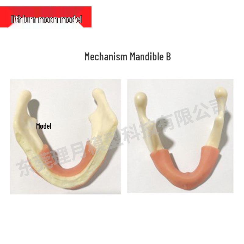 Dental Implant Teaching Model & Toothbrush Preparation Resin Mold