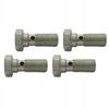 4x Banjo Bolt - Overflow - For Eyelets M10X1 - Zinc Plated; Sr-14