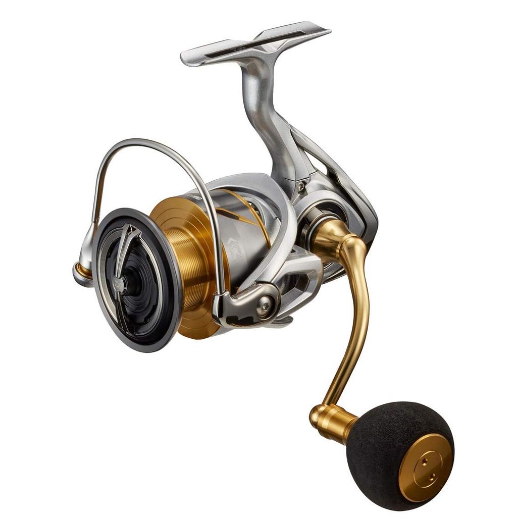 Daiwa 21 Freems LT5000-CXH