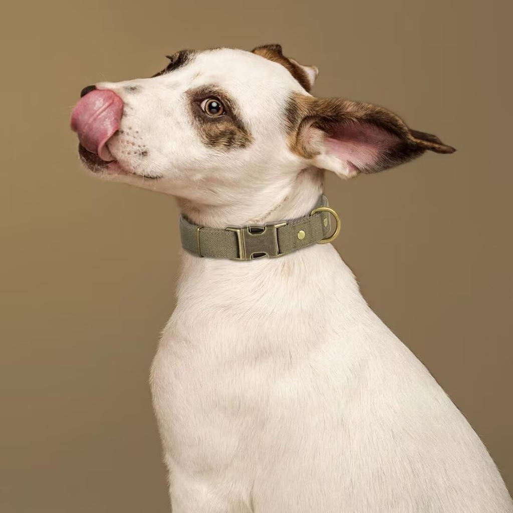 PET ARTIST Dog Collar for Large Dogs, Soft Padded Premium Nylon Dog Collar with Quick Release Metal Buckle, Durable & Adjustable Pet Collars for Boy