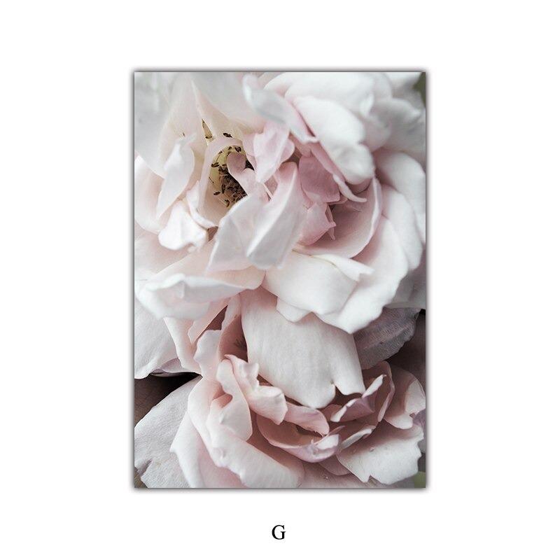 Wüstensamen skandinavische Naturlandschaft Poster Wandbild Wandkunst für Paare Boho Nordisch Wandbilder Dekor Perfekt für