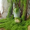 Garten- & Landschaftsgestaltung – Kunstrasen