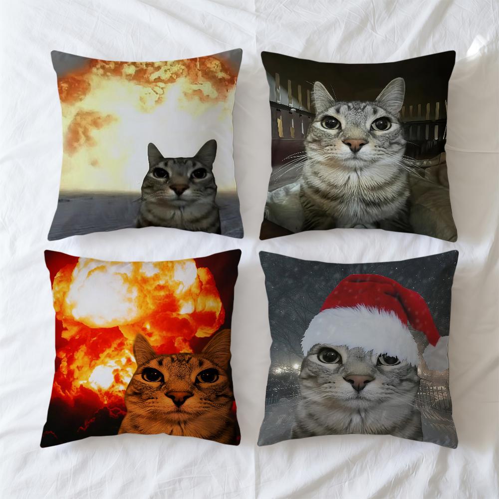 Cushion Cover Soft Case For Sofa Living Funny Room Home Comfortable Office Decor Meme Cat Protective Pillow Covers