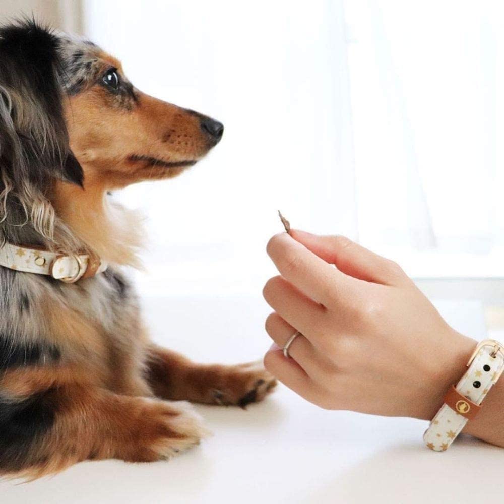 ArgusCollar Sold Dog Stylish Greek Vegan Leather (Argos Collar) [Collar Individually] Collar, Brand,