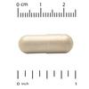 Euroherbs™, Ginkgo Biloba Extract, Euromed Quality, 120Mg, 60 Veggie Caps