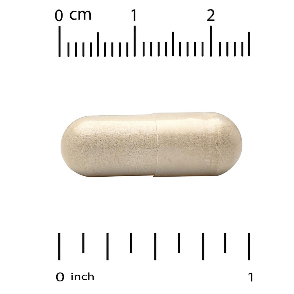 Euroherbs™, Ginkgo Biloba Extract, Euromed Quality, 120Mg, 60 Veggie Caps