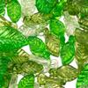 50pcs 100pcs DIY Acrylic Green Leave Pendants Charms Plastic Flower Leaf Loose Beads for Earrings Wedding Hair Jewelry Findings