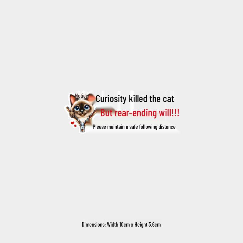 

Curiosity Won t Kill the Cat - Fun Tail-Chasing Warning Car Sticker for Rear Window