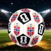 1pc Norwegian Crest Size 5 Soccer Ball Professional Match Training Football Indoor &Outdoor Sports Ball Club Training Ball Lightweight Durable y24