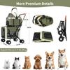 Double Pet Stroller For Dogs Cats Foldable Travel Carriage Detachable Carriers Safety Belts 4 Lockable Wheels Heavy Duty Load