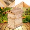 Automatic Wooden Bee Hive House with 7 Nest Wooden Bees Box Beekeeping Equipment Beekeeper Tool for Bee Hive Supply 66x43x26cm