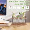 2 Stück Pflanzen-Terrarium Glasvase mit Holzständer zur Vermehrung Kleine Hydrokulturpflanzen Heim-/Büro-Schreibtischdekoration