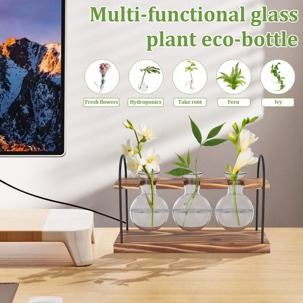 2 Stück Pflanzen-Terrarium Glasvase mit Holzständer zur Vermehrung Kleine Hydrokulturpflanzen Heim-/Büro-Schreibtischdekoration