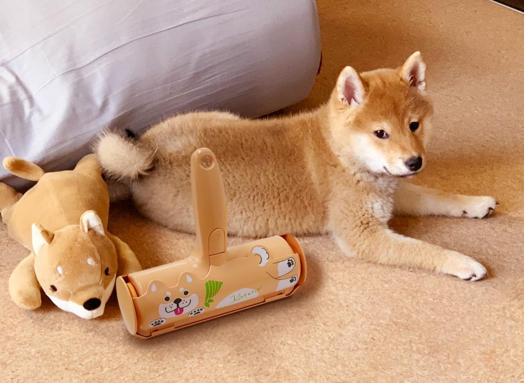 Japan Seal Pakpa Roller Kotaro Dog Hair Remover Cleaning Roller Hair Removal Dust Removal Pet Roller Etiquette Brush Carpet Sofa Rug Cat Hair Dust
